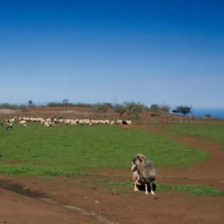 Villa House Altos De Gldar Juncalillo