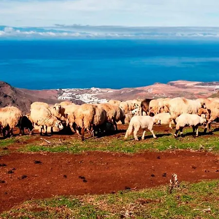 House Altos De Gldar Juncalillo