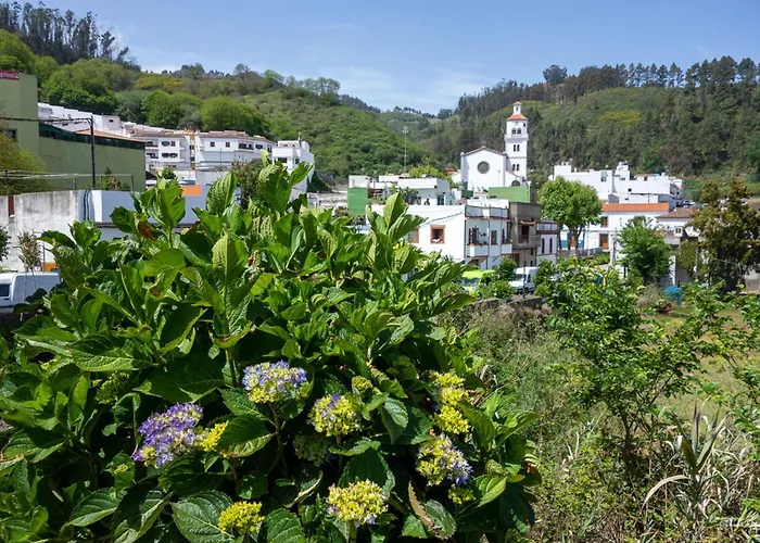 فيلة House Altos De Gldar Juncalillo